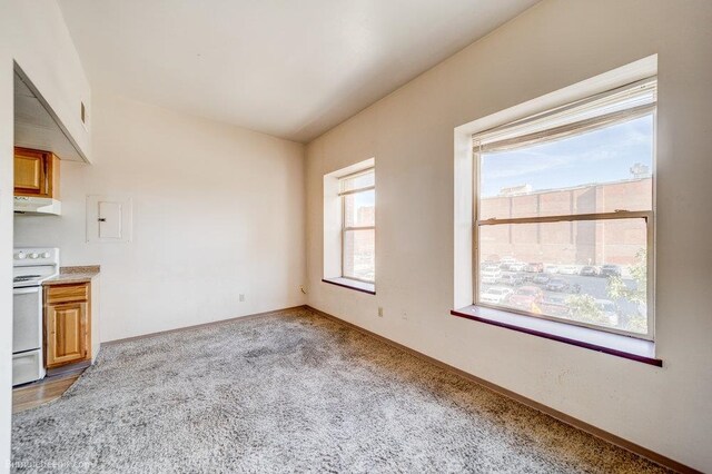 unfurnished living room featuring light carpet