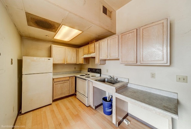 kitchen featuring light brown cabinetry, sink, light wood-type flooring, and white appliances