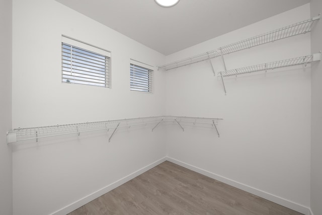 walk in closet featuring light wood finished floors