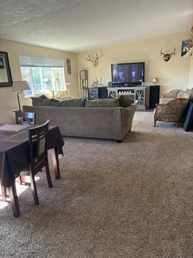 living room featuring a textured ceiling and carpet flooring