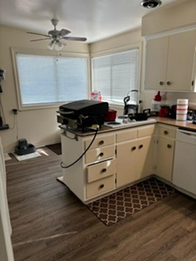 kitchen featuring dark hardwood / wood-style flooring, ceiling fan, and dishwasher