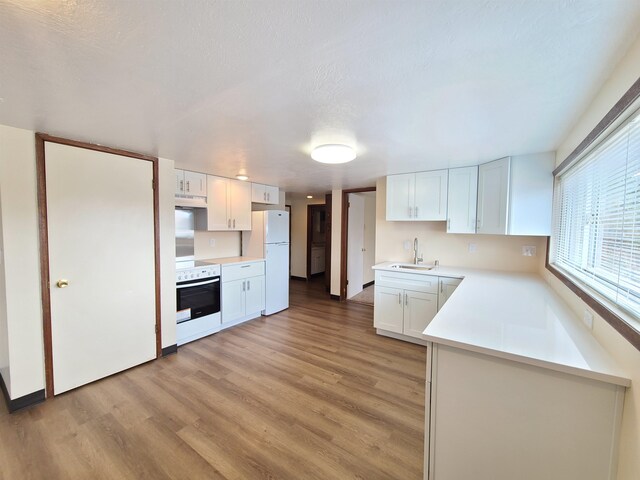 kitchen with white cabinets, light hardwood / wood-style flooring, oven, and white fridge