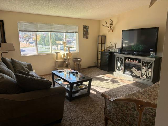 302 N Argonne Rd, Spokane Valley, WA 99212 - carpeted living area featuring a textured ceiling