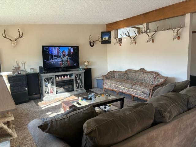 302 N Argonne Rd, Spokane Valley, WA 99212 - carpeted living room with a textured ceiling