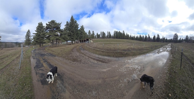 view of street with a rural view and dirt driveway