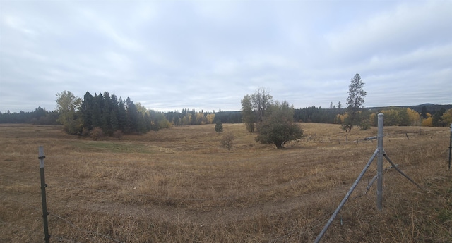 view of yard featuring a rural view