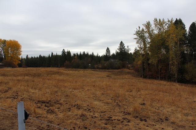 view of local wilderness featuring a forest view