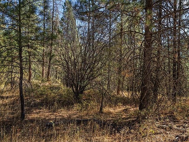 TBD Raven Ridge St, Nine Mile Falls WA, 99026 land for sale