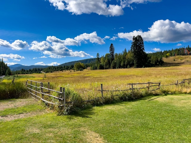 view of yard with a mountain view and a rural view