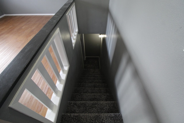 stairway with hardwood / wood-style floors