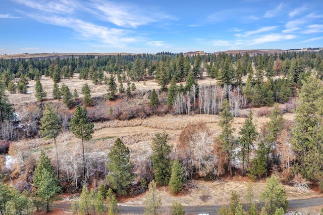 000 S Phillips Rd, Cheney WA, 99004 land for sale