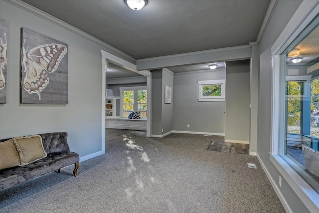 interior space featuring ornamental molding, carpet flooring, and plenty of natural light