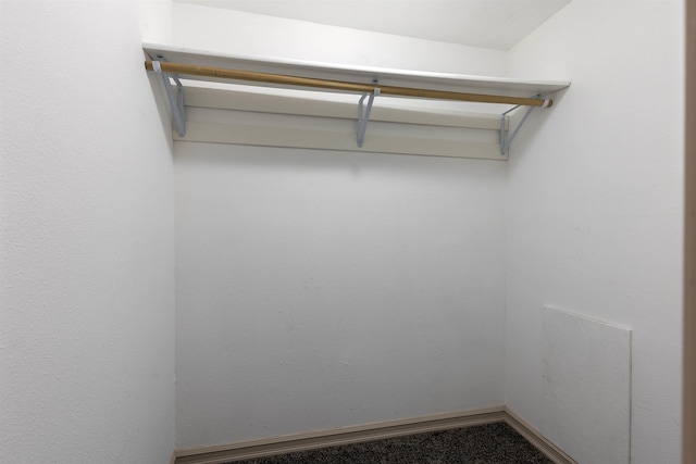 walk in closet with carpet flooring