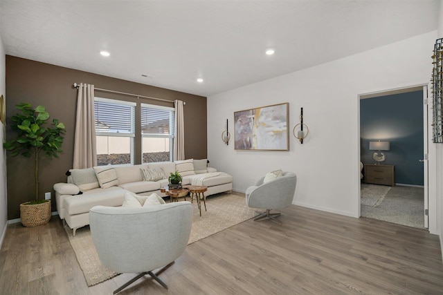 living room featuring wood-type flooring