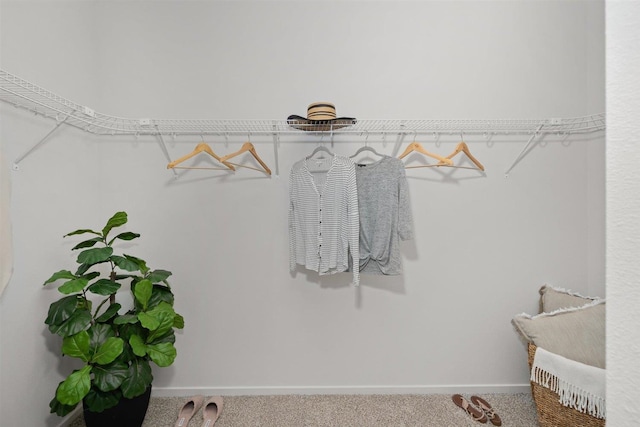 spacious closet with carpet