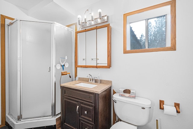 bathroom with vanity, toilet, and an enclosed shower