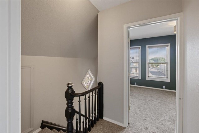 stairway with carpet and lofted ceiling