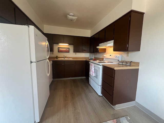 kitchen with dark brown cabinetry, sink, light wood-type flooring, and white appliances