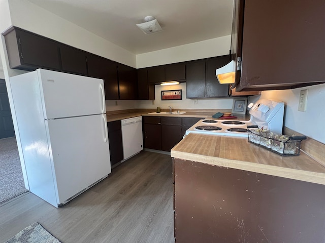 kitchen featuring light hardwood / wood-style flooring, sink, exhaust hood, and white appliances