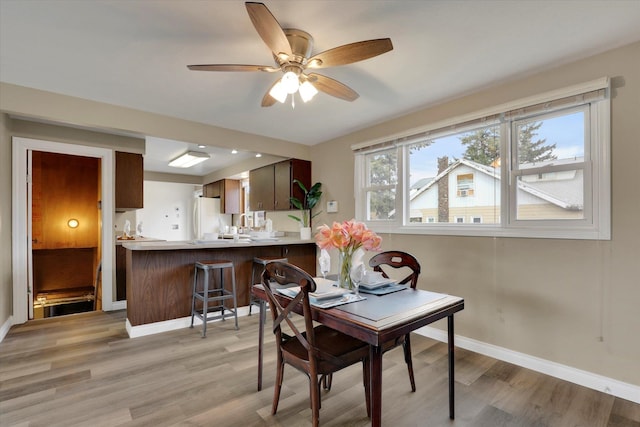 dining area featuring ceiling fan and light wood-type flooring