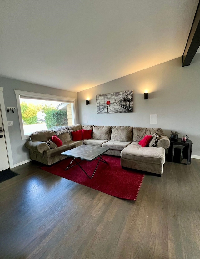 living room featuring dark hardwood / wood-style flooring