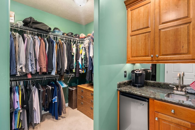 spacious closet with light carpet and sink