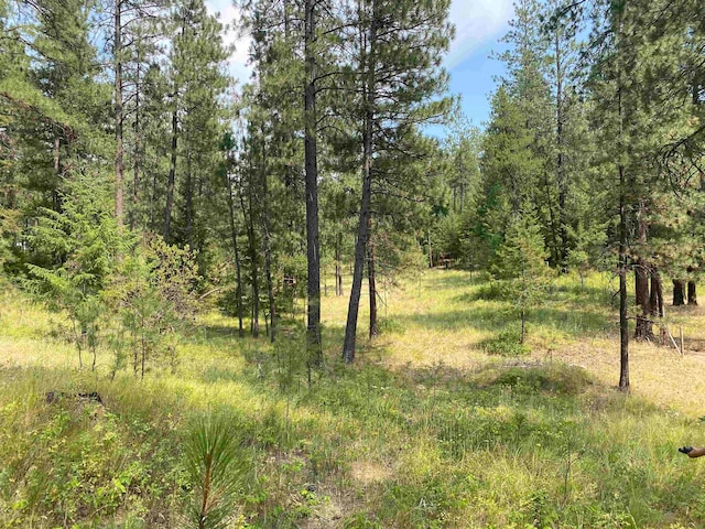 XXXXX E Elk-Chattaroy Rd, Elk WA, 99009 land for sale