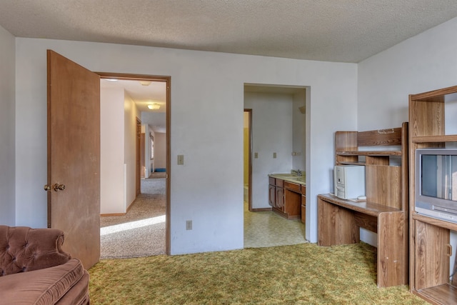 kitchen with sink, light carpet, and a textured ceiling