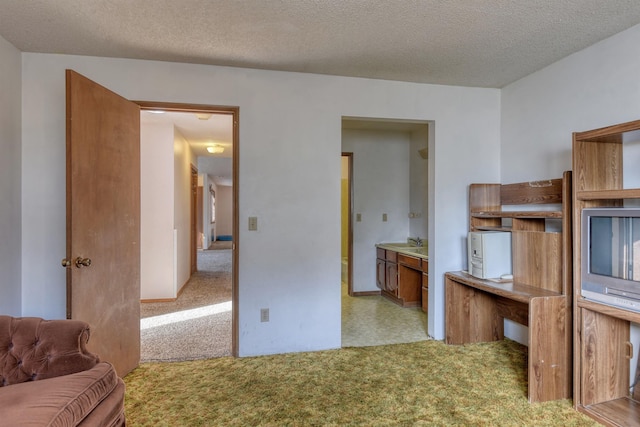 3224 E 28th Ave, Spokane, WA 99223 - unfurnished office with light colored carpet, a textured ceiling, and a sink