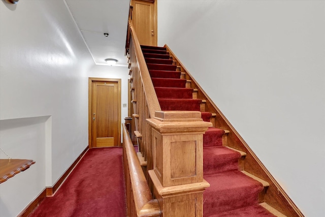 stairs with carpet flooring