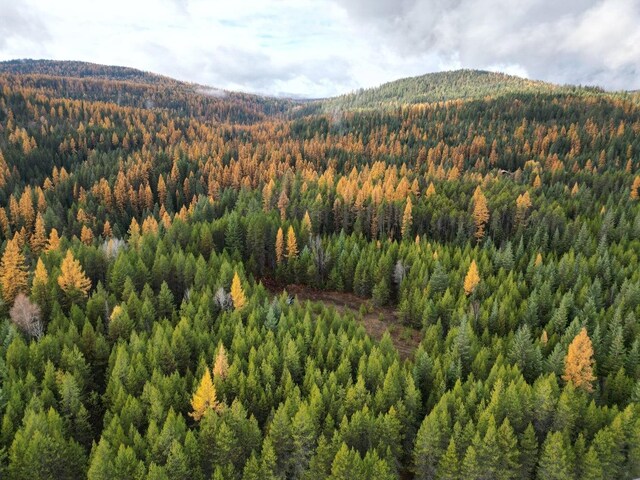 TBD Schlegel Ranch Rd, Ione, WA 99139 - photo 3