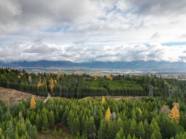 TBD Schlegel Ranch Rd, Ione, WA 99139 - photo 4
