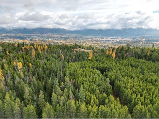 TBD Schlegel Ranch Rd, Ione, WA 99139 - photo 5