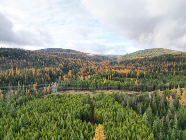 TBD Schlegel Ranch Rd, Ione, WA 99139 - photo 6
