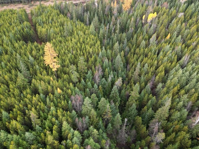TBD Schlegel Ranch Rd, Ione, WA 99139 - photo 7
