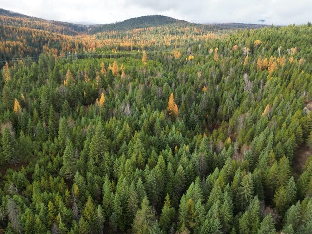 TBD Schlegel Ranch Rd, Ione, WA 99139 - photo 10