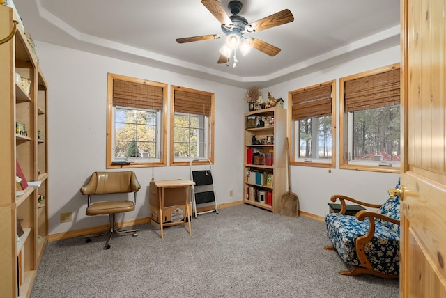 sitting room with carpet and a raised ceiling