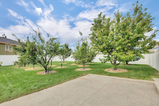 1005 S Oswald St, Spokane, WA 99224 - view of yard featuring a patio area