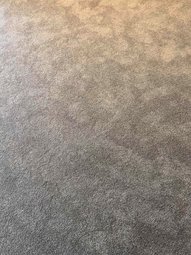 room details with carpet flooring