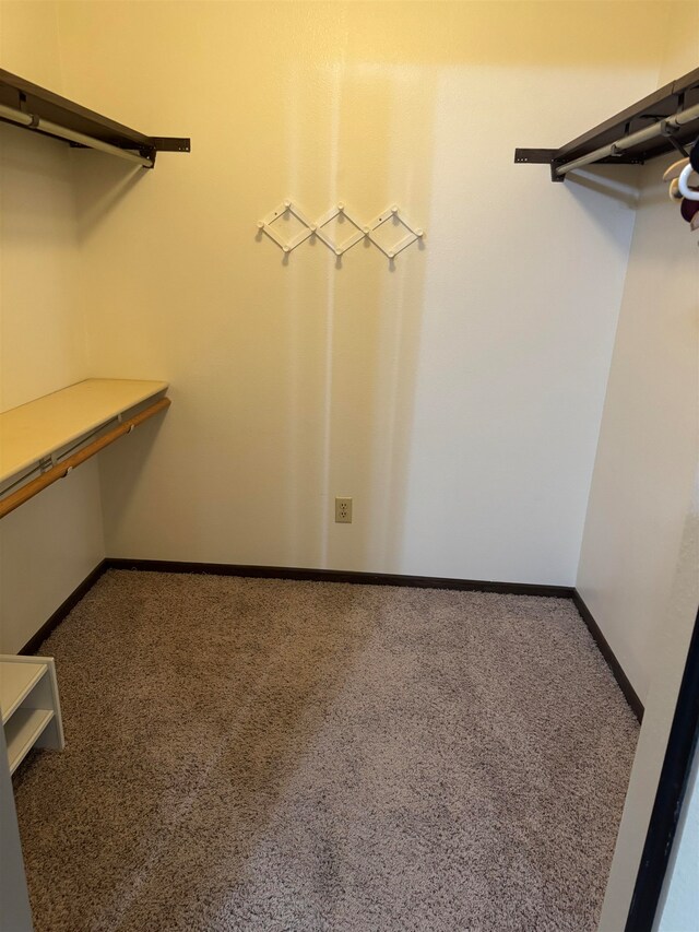 walk in closet with carpet