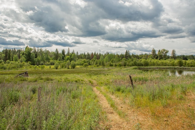 4110 N Cemetery Rd Unit Tract A, Springdale WA, 99137 land for sale