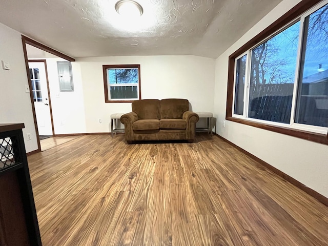 living room featuring hardwood / wood-style flooring, electric panel, and a textured ceiling