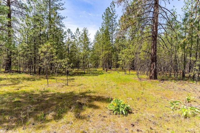 6558 Kate Dr, Nine Mile Falls, WA 99026 - photo 12
