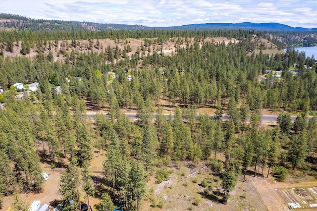 6558 Kate Dr, Nine Mile Falls, WA 99026 - photo 16