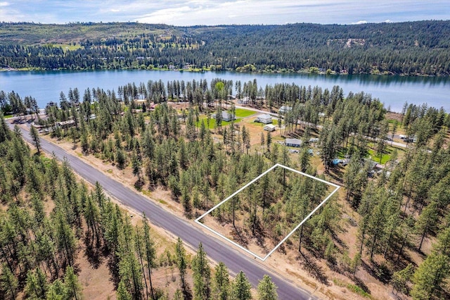 6558 Kate Dr, Nine Mile Falls, WA 99026 - photo 3