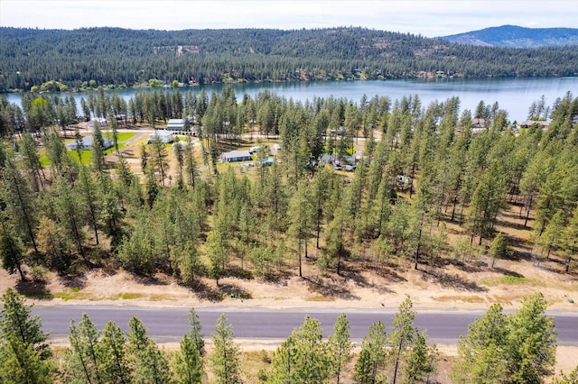 6558 Kate Dr, Nine Mile Falls, WA 99026 - photo 21