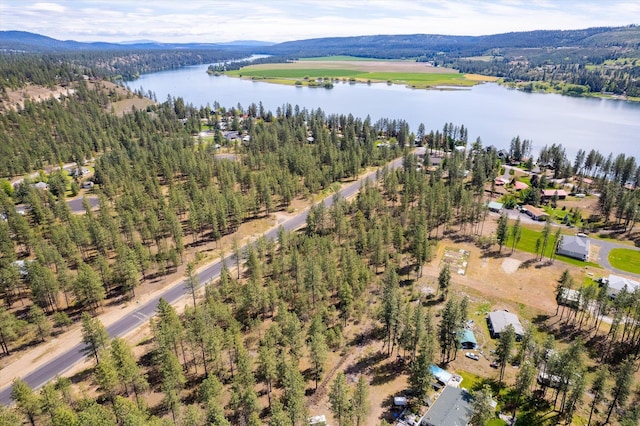 6558 Kate Dr, Nine Mile Falls, WA 99026 - photo 25
