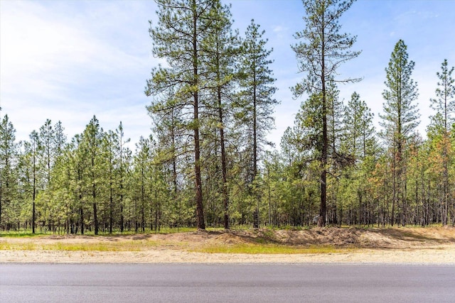6558 Kate Dr, Nine Mile Falls, WA 99026 - photo 8