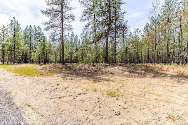 6558 Kate Dr, Nine Mile Falls, WA 99026 - photo 10