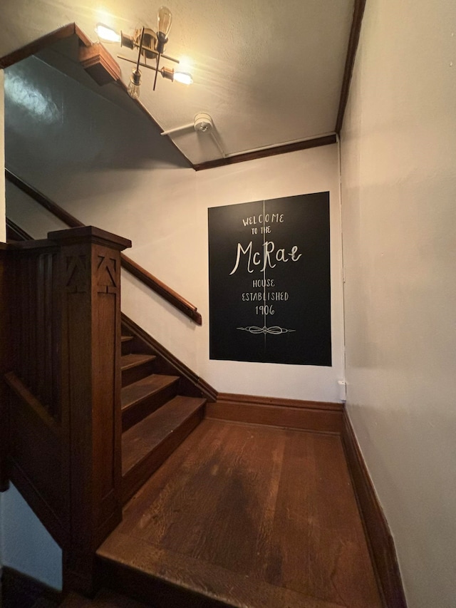 staircase with hardwood / wood-style floors